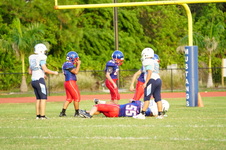 Enlarge photo 234