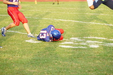Enlarge photo 237