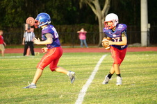 Enlarge photo 246