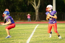 Enlarge photo 247