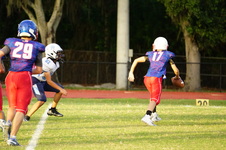 Enlarge photo 254