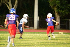 Enlarge photo 255