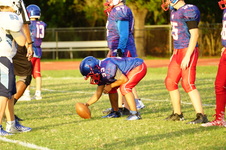 Enlarge photo 259