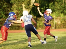 Enlarge photo 260