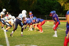Enlarge photo 265
