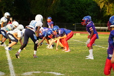 Enlarge photo 267