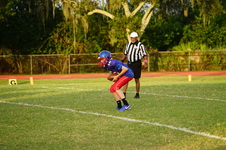 Enlarge photo 270