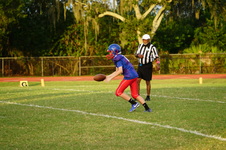 Enlarge photo 272