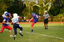 Enlarge photo 273