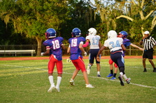 Enlarge photo 275