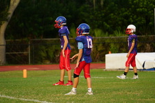 Enlarge photo 292