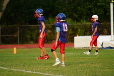 Enlarge photo 294