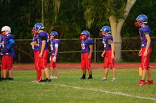 Enlarge photo 296