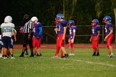 Enlarge photo 297