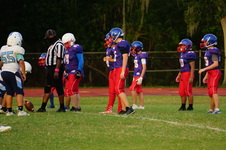 Enlarge photo 299