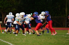 Enlarge photo 302