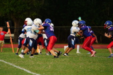 Enlarge photo 303