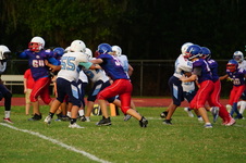 Enlarge photo 305