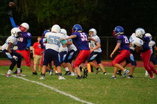 Enlarge photo 306