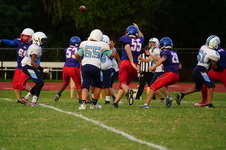 Enlarge photo 307