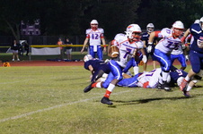 Enlarge photo 35