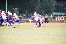 Enlarge photo 471