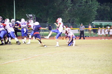 Enlarge photo 473