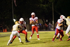 Enlarge photo 41