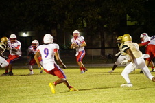 Enlarge photo 90