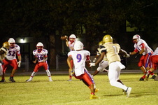 Enlarge photo 89