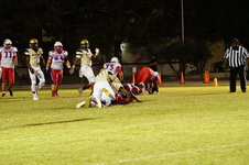 Enlarge photo 93