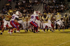Enlarge photo 114