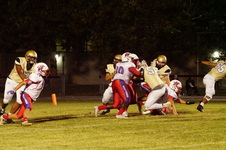 Enlarge photo 134