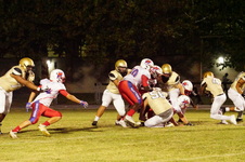 Enlarge photo 135