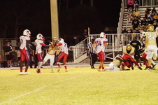Enlarge photo 158