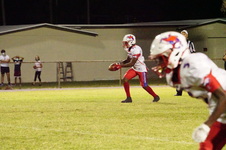 Enlarge photo 230