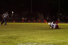 Enlarge photo 258