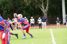 Enlarge photo 15