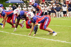 Enlarge photo 30