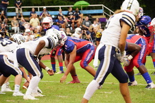 Enlarge photo 43