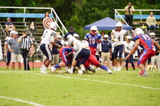 Enlarge photo 51