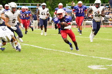 Enlarge photo 95