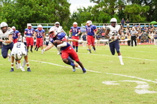 Enlarge photo 96