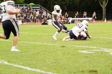 Enlarge photo 119