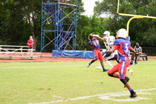 Enlarge photo 146