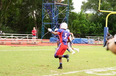 Enlarge photo 148
