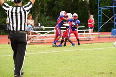 Enlarge photo 151