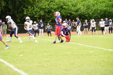 Enlarge photo 160