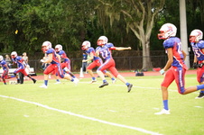 Enlarge photo 164