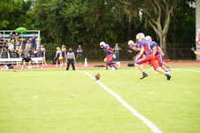 Enlarge photo 168